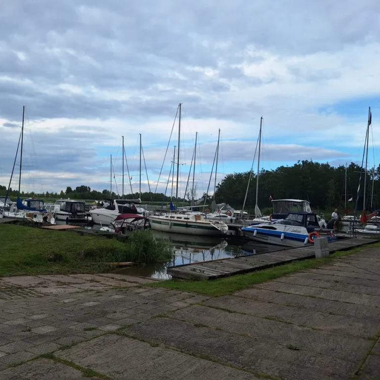 IMG-20250712-WA0023